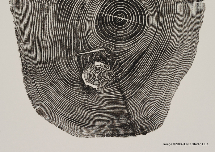 OUR NAME ブランド名に込めた思い Image © 2009 BNG Studio LLC.