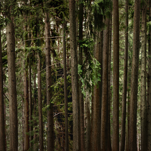 OUR PHILOSOPHY ブランド哲学