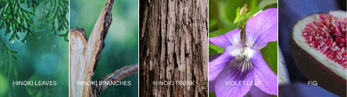 Kさん専用BAUM HINOKI FOREST Eau de Toilette Amazon.co.jp: Baum Eau De Toilette 5 (Hinoki Forest) Main