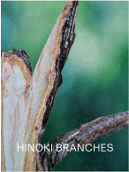 HINOKI BRANCHES
