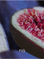 FIG