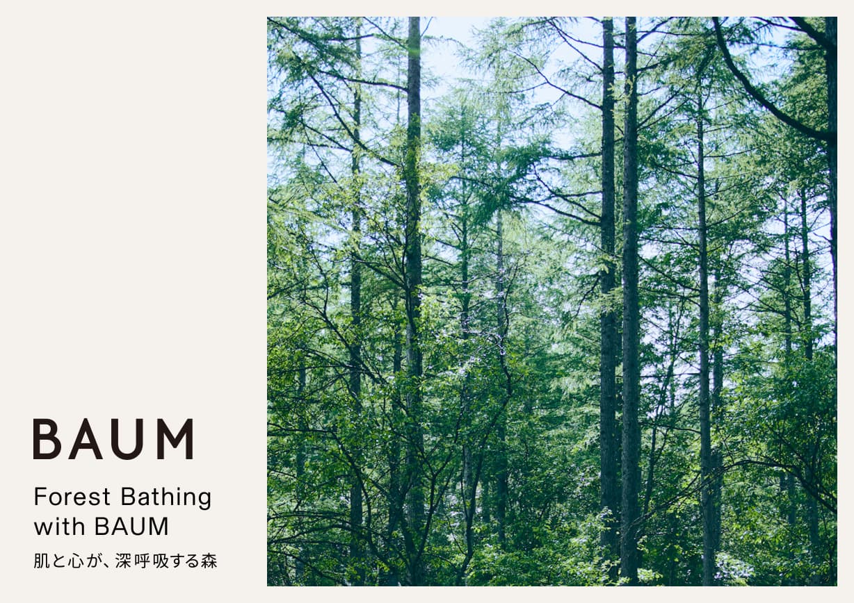 【終了】2023.9.2-3 BAUM初のイベント開催 Forest Bathing with BAUM 肌と心が、深呼吸する森