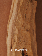 CEDARWOOD