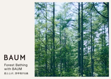 2023.9.2-3　BAUM初のイベント開催 Forest Bathing with BAUM　肌と心が、深呼吸する森