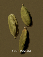 CARDAMON