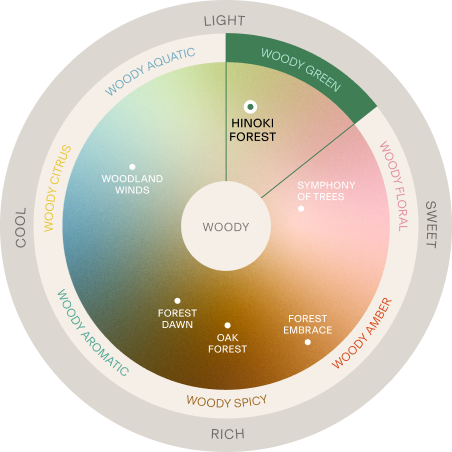 BAUMの香りマップ HINOKI FOREST
