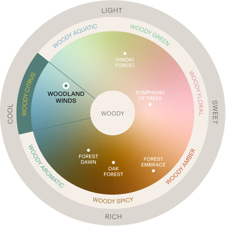 BAUMの香りマップ WOODLAND WINDS