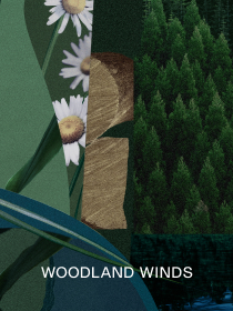 WOODLAND WINDS