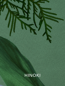 HINOKI